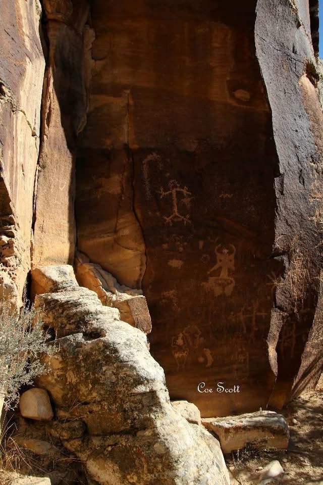 Ancient Stories Etched in Stone: The Fascinating World of Petroglyphs