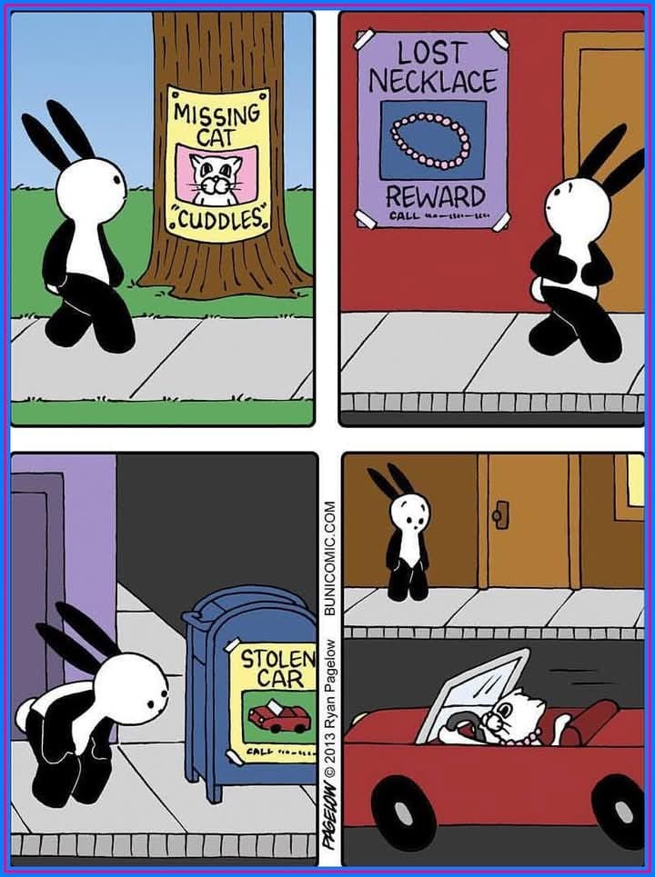 A Collection of Posters