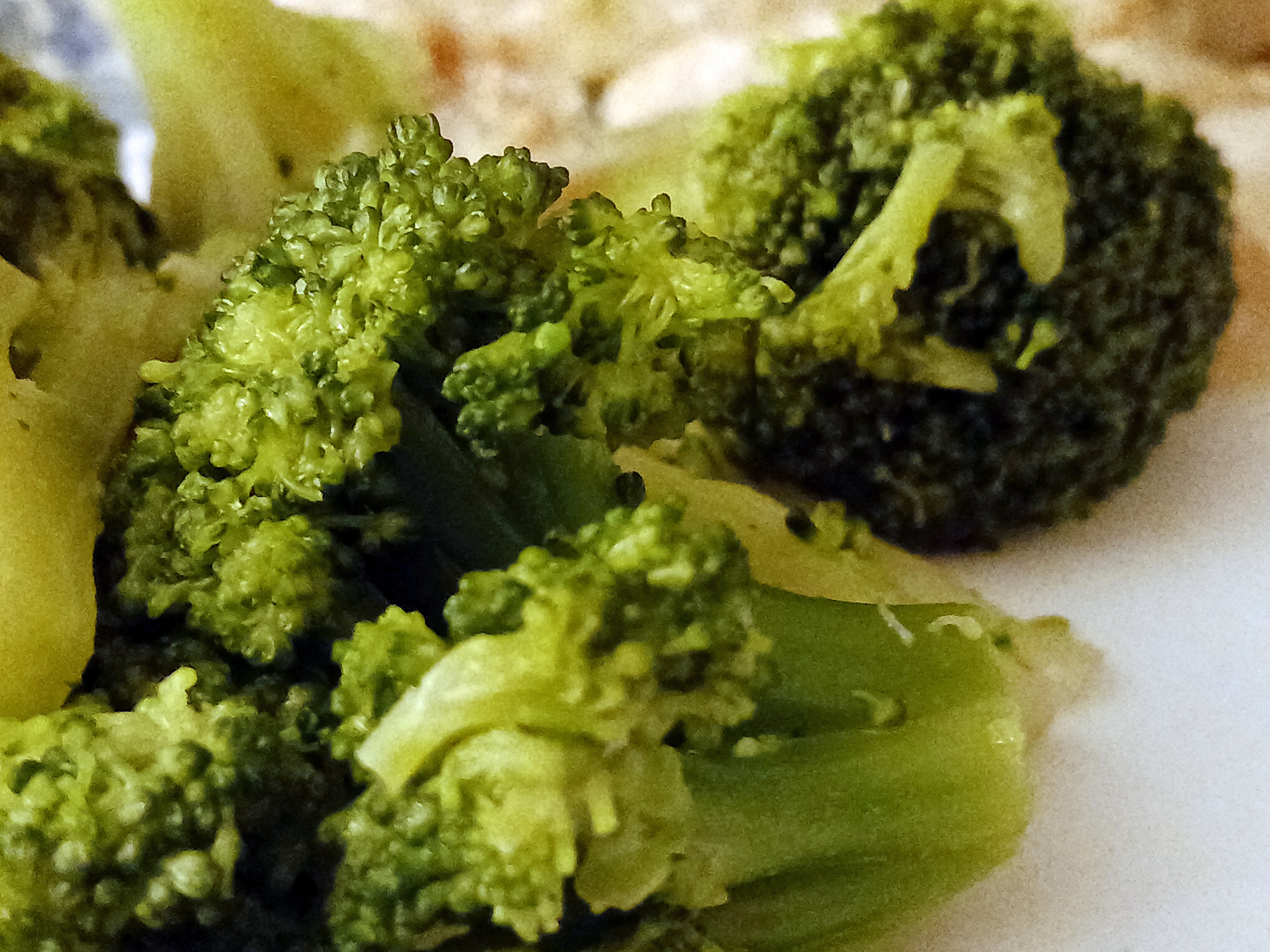 Broccoli: The Unsung Hero of Vegetables
