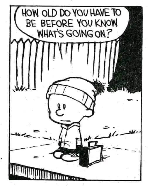 The best part? You’ll never actually find out.