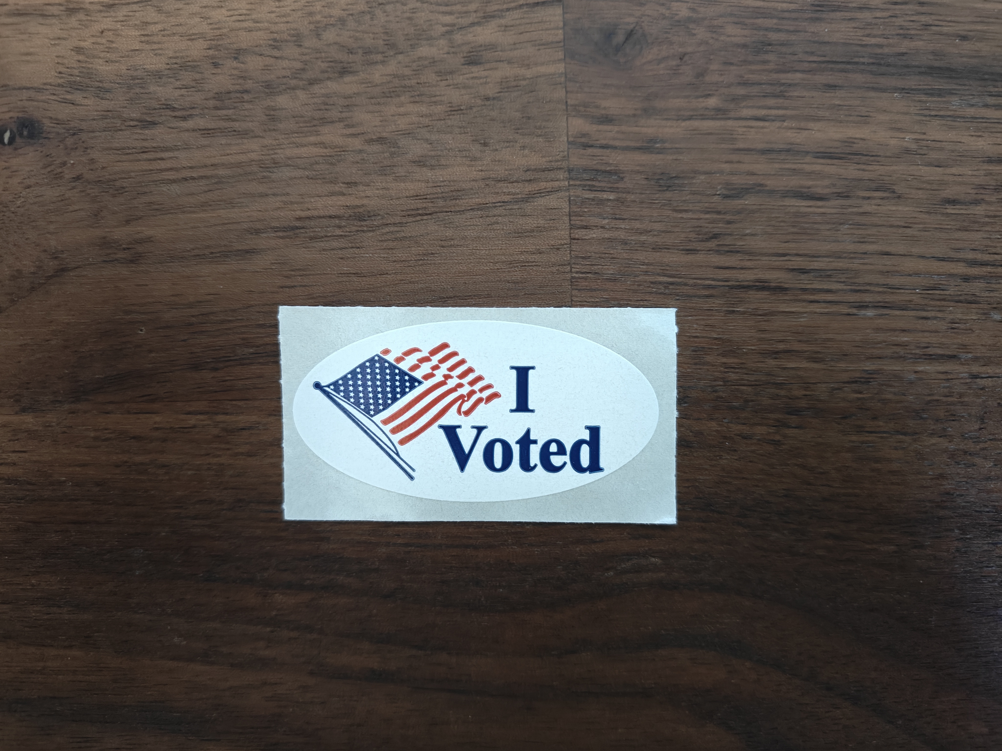 I Made My Voice Count: I Voted