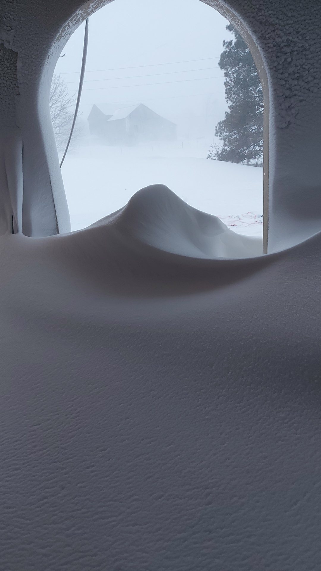 Embrace the Winter Wonderland
