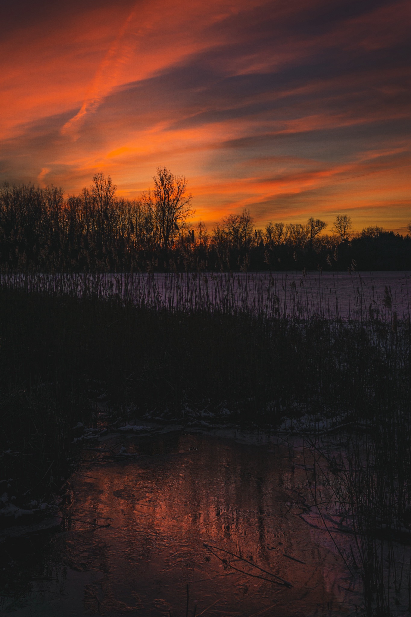 A Beautiful Warm Sunrise in Michigan This January