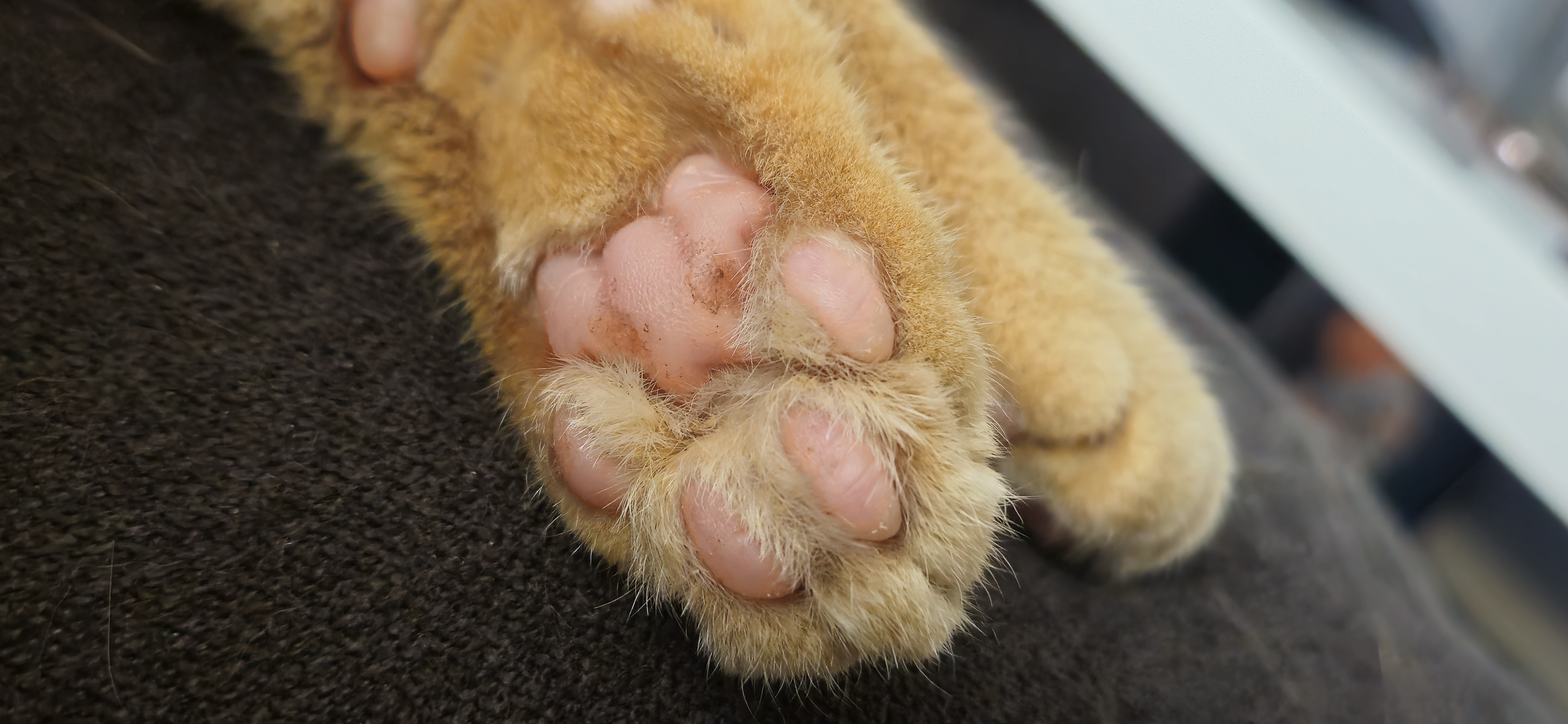 Who’s Up for a Feet Pic Trade?