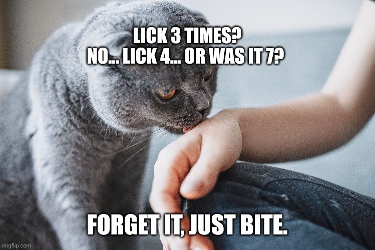 Cats Being Their Adorable, Quirky Selves