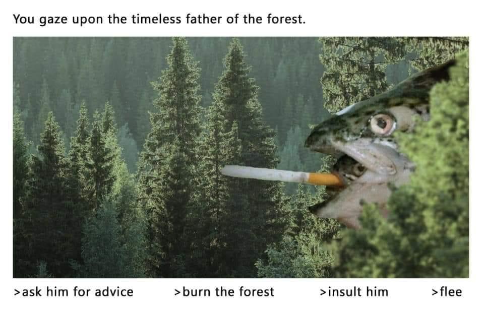 Weekend Memes Only: Don't Try to Understand Them During the Week!