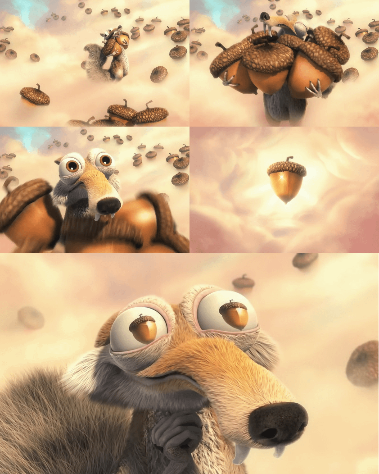 Come witness the magnificent glory of the Acorn!