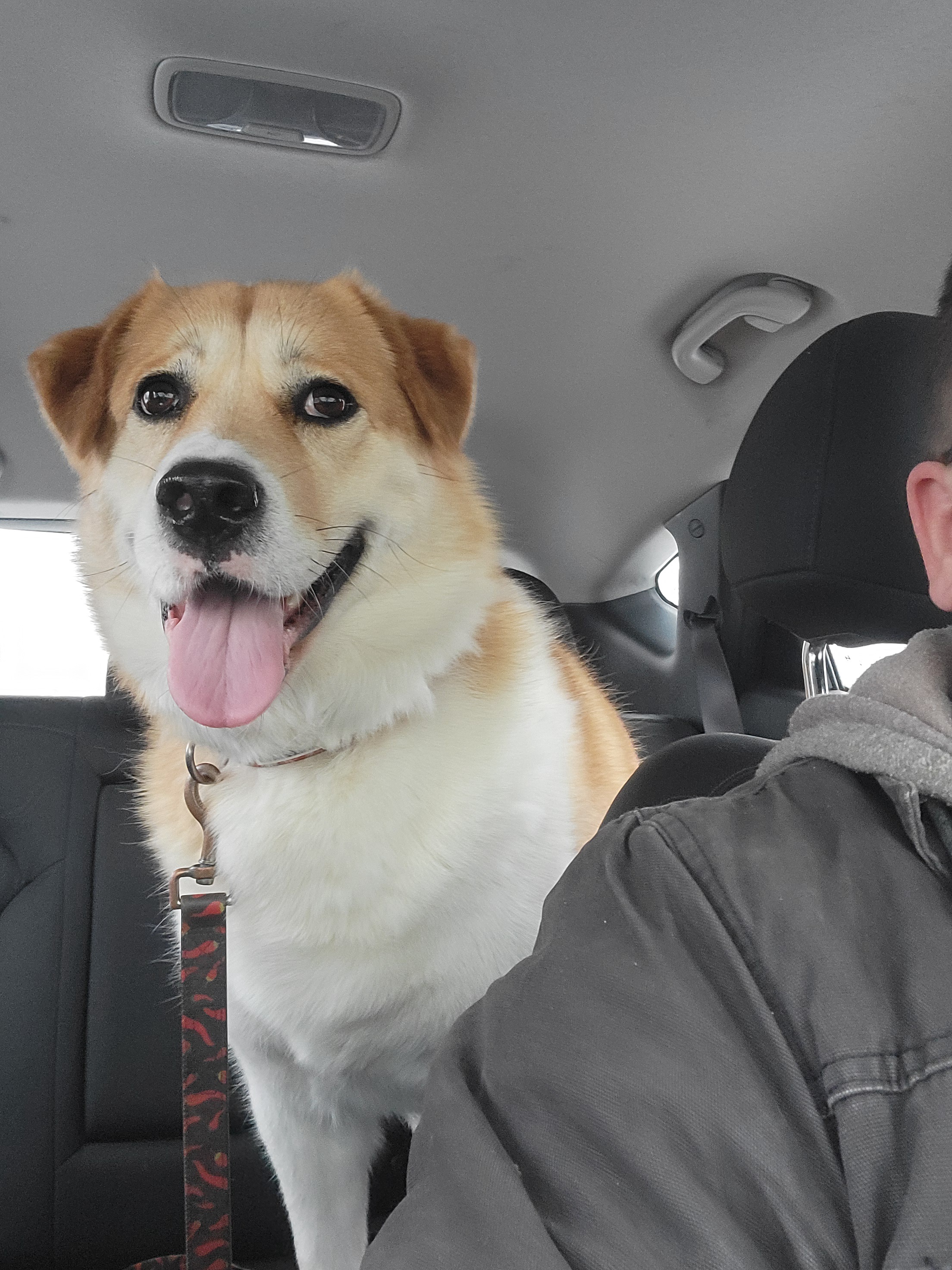 A Glimpse into a Trucker's Life: December 9, 2024