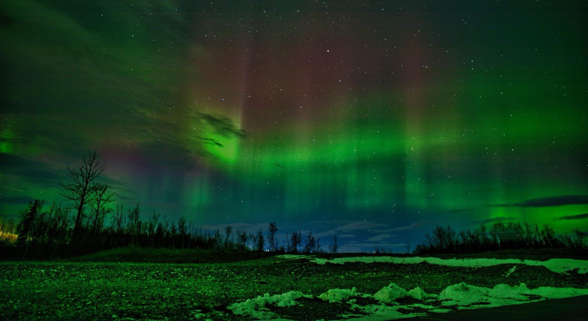 The Enigmatic Beauty of Aurora