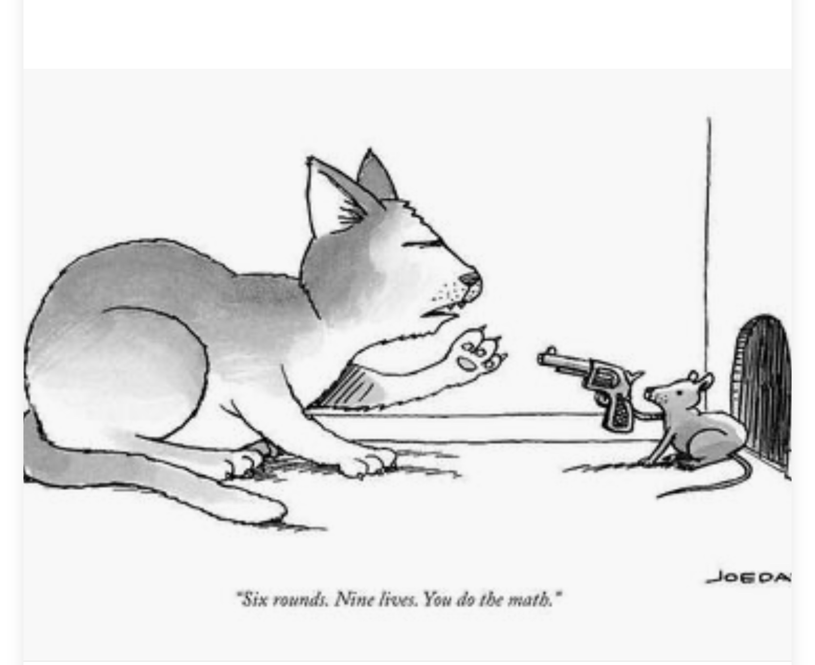 Adorable Cats Taking Over the Internet