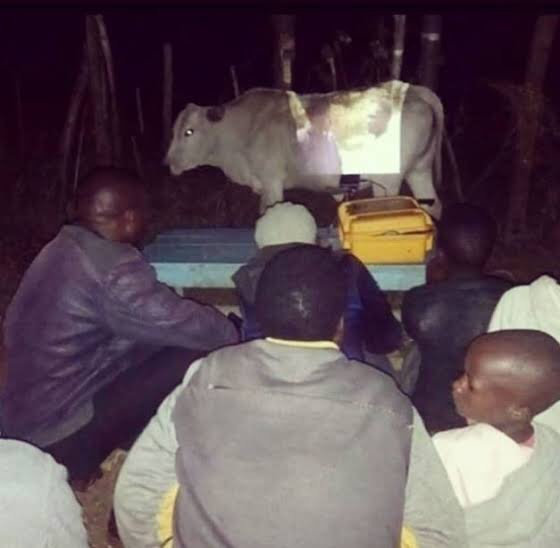 When the Cow Moves, the Movie Comes to an End