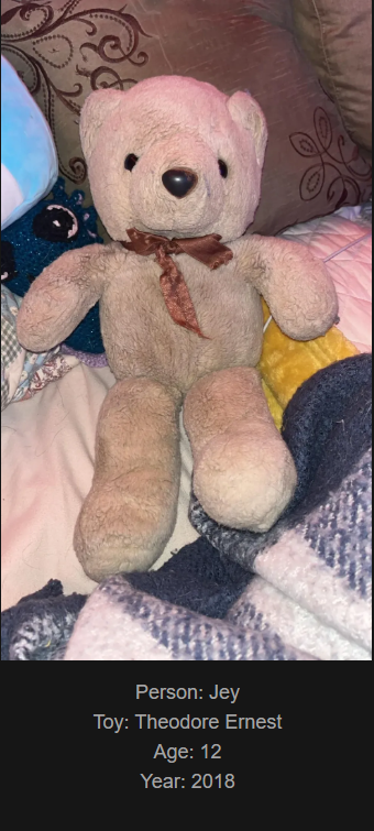 Day 806: Join me on my website www.saidtheskinhorse.com to celebrate our cherished childhood toys. Meet Theodore Ernest, our latest addition!