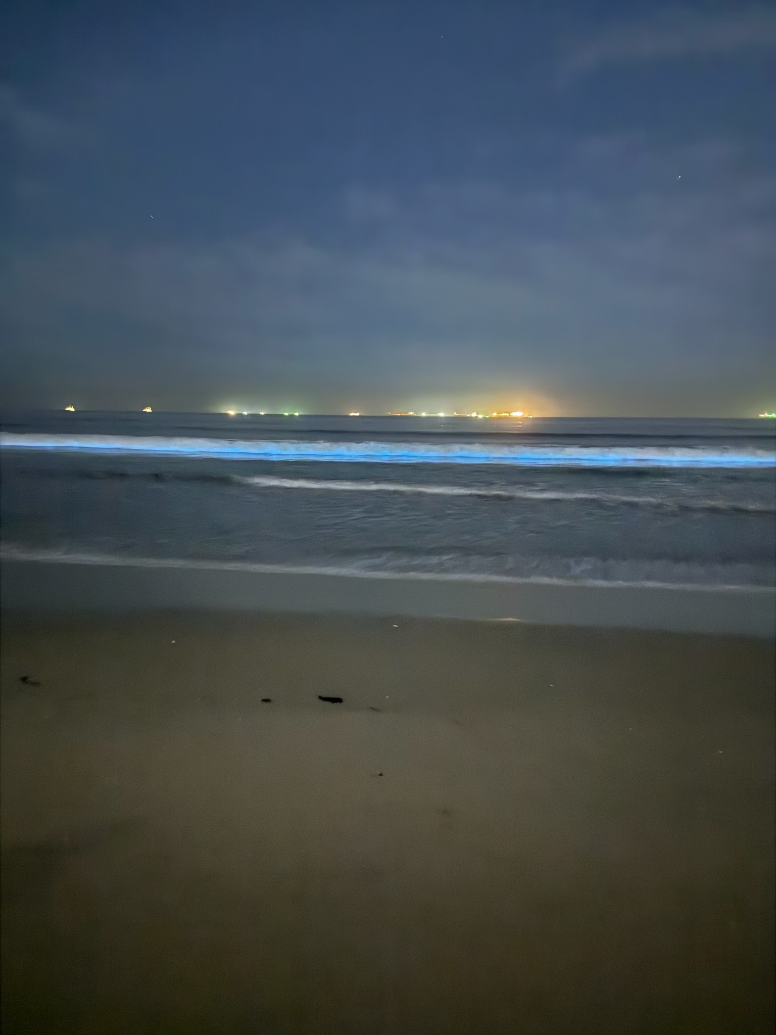 The Fascinating World of Bioluminescence