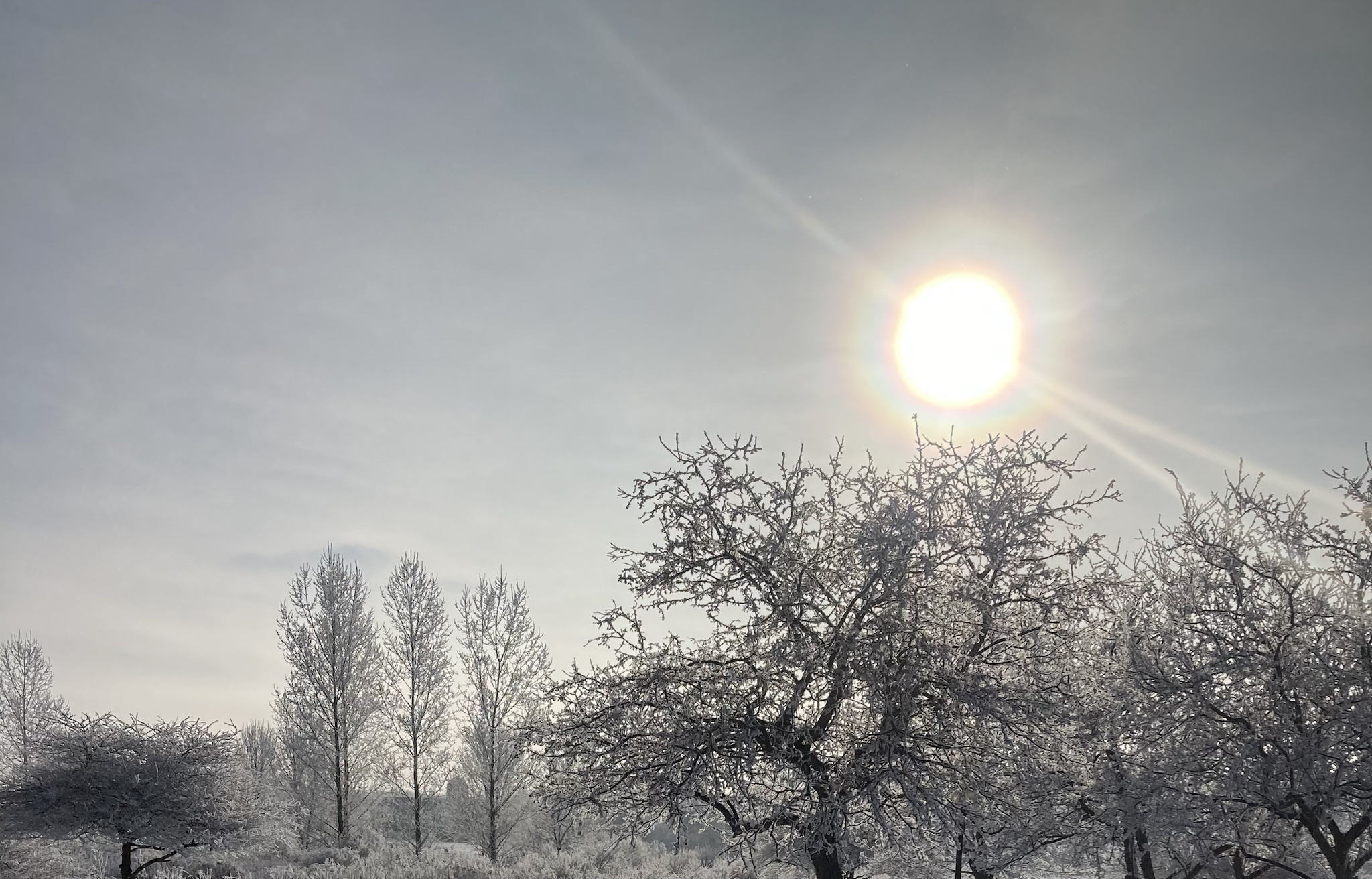 The Magic of Christmas Morning