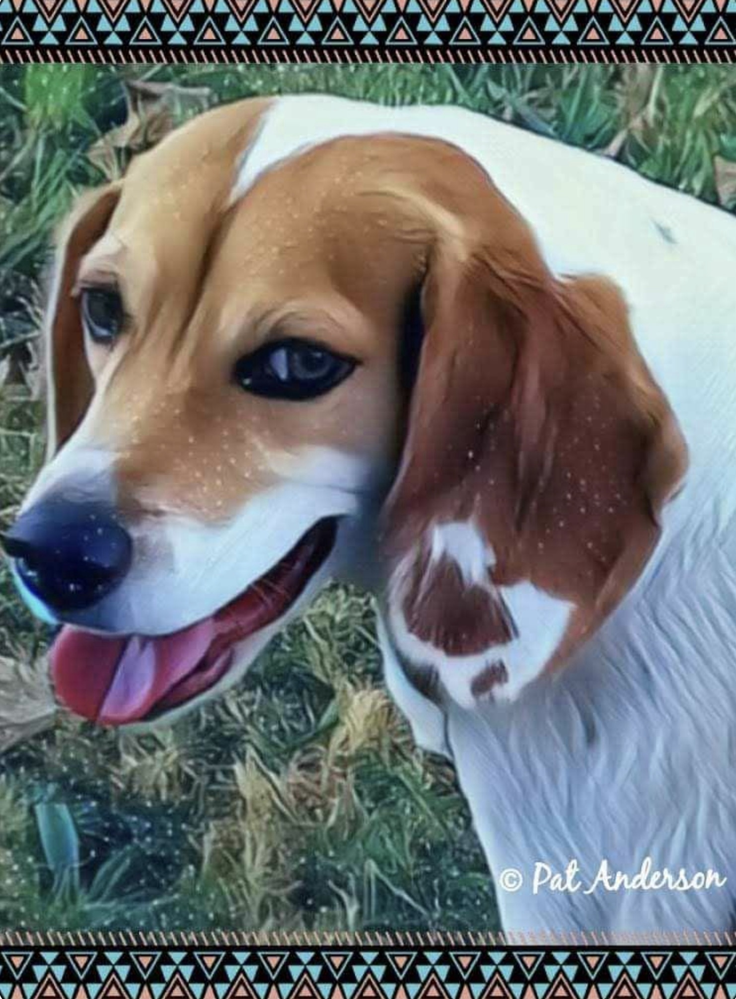 Meet Luna: The enchanting companion