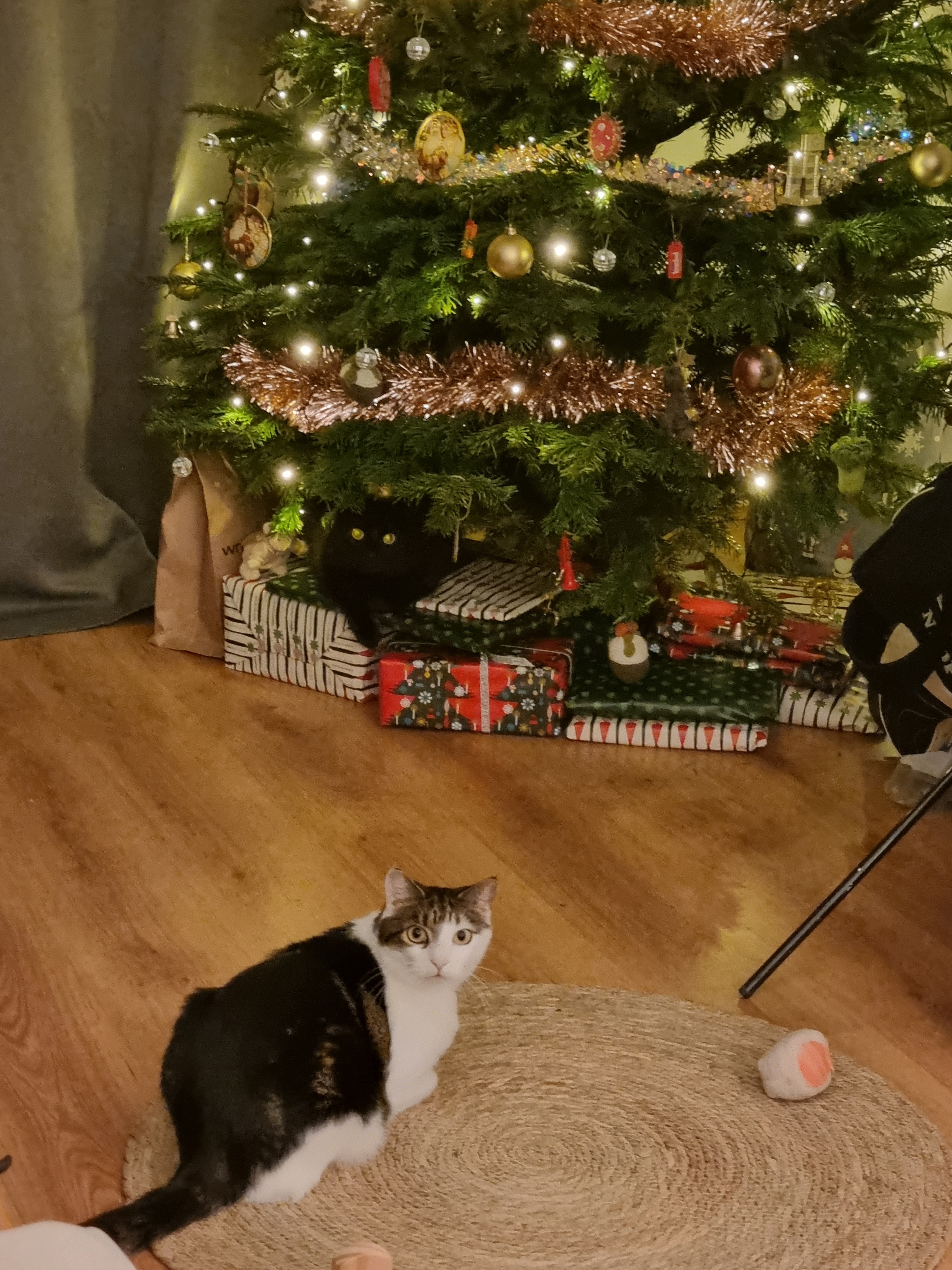 Wishing you a Merry Christmas, you delightful troublemakers!