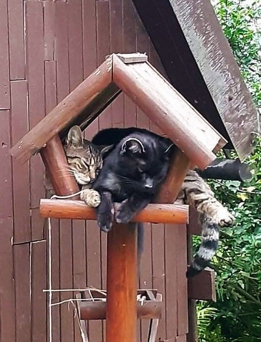 The long wait for dinner to be served