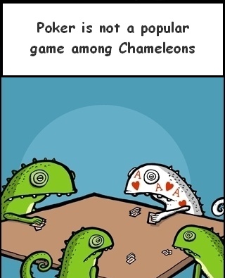 Chameleons and Playing Cards: A Colorful Duo