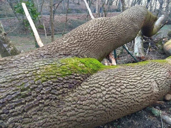 The Beautiful Gift of Nature