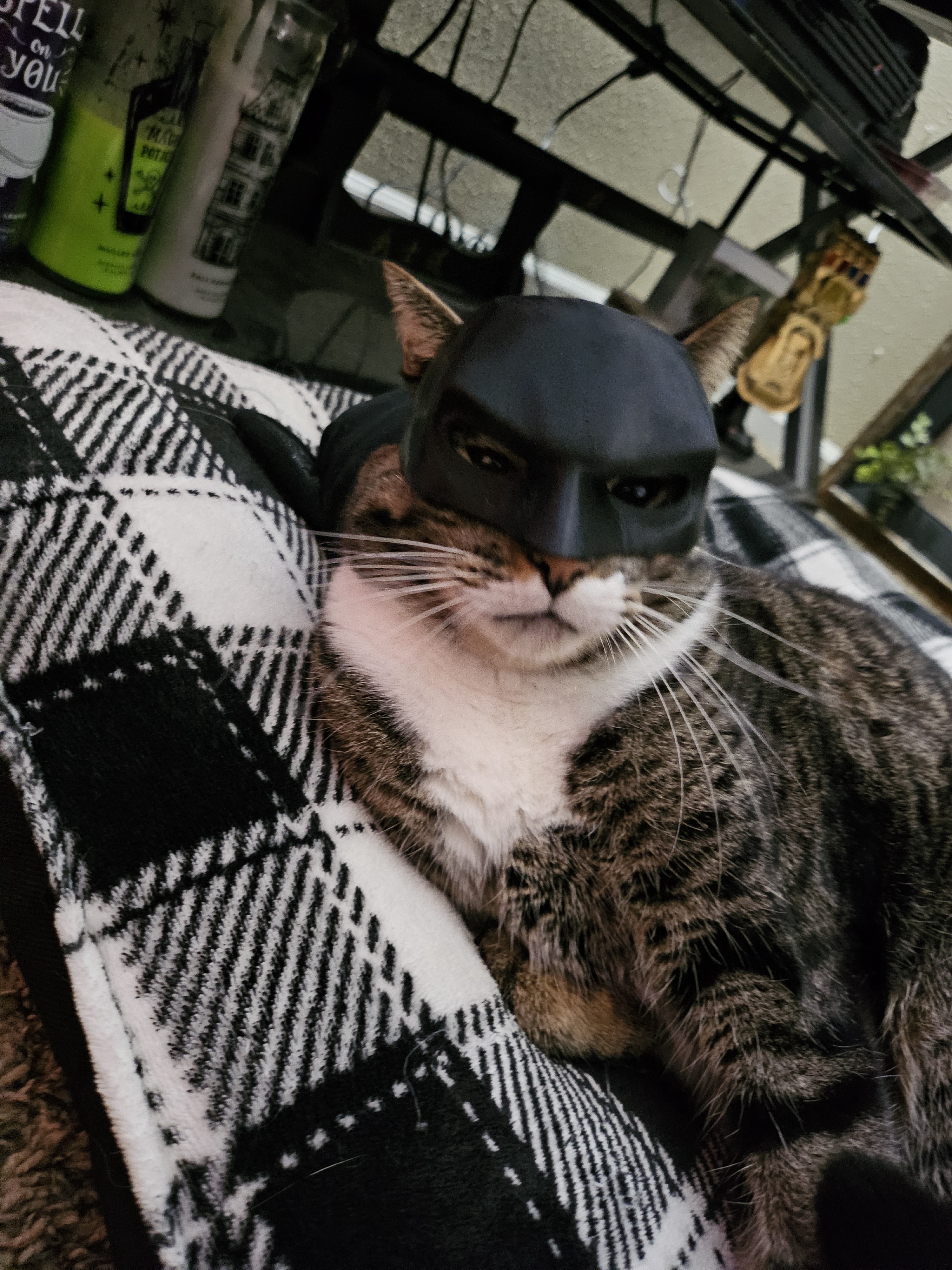 The Mysterious Dark Doofus