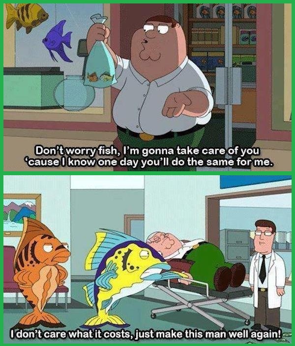 The Fish: A Symbol of Something Deeper