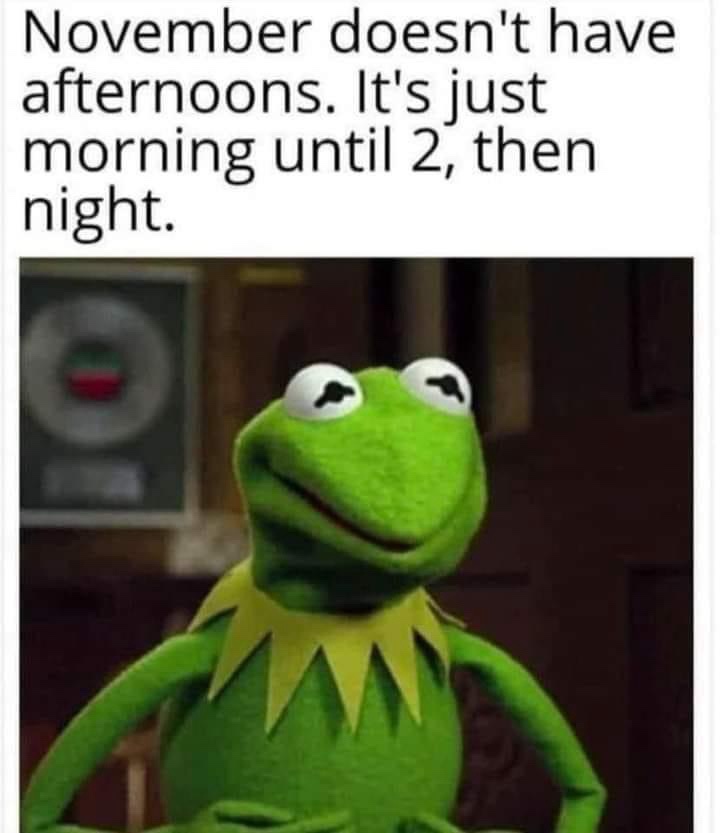 Oops, I Missed Frog Wednesday by a Day!