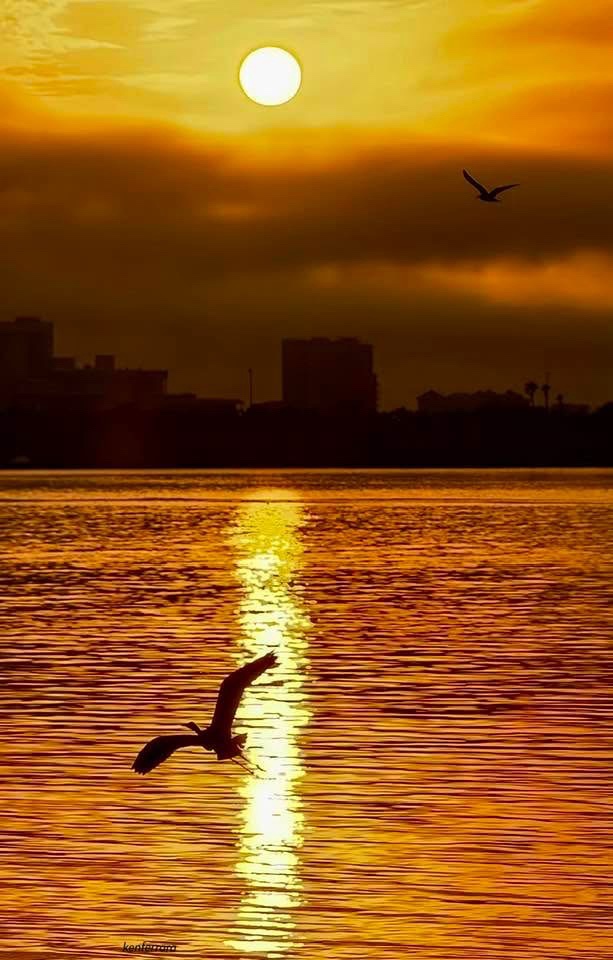 The Sunshine State: Florida's Unique Charm