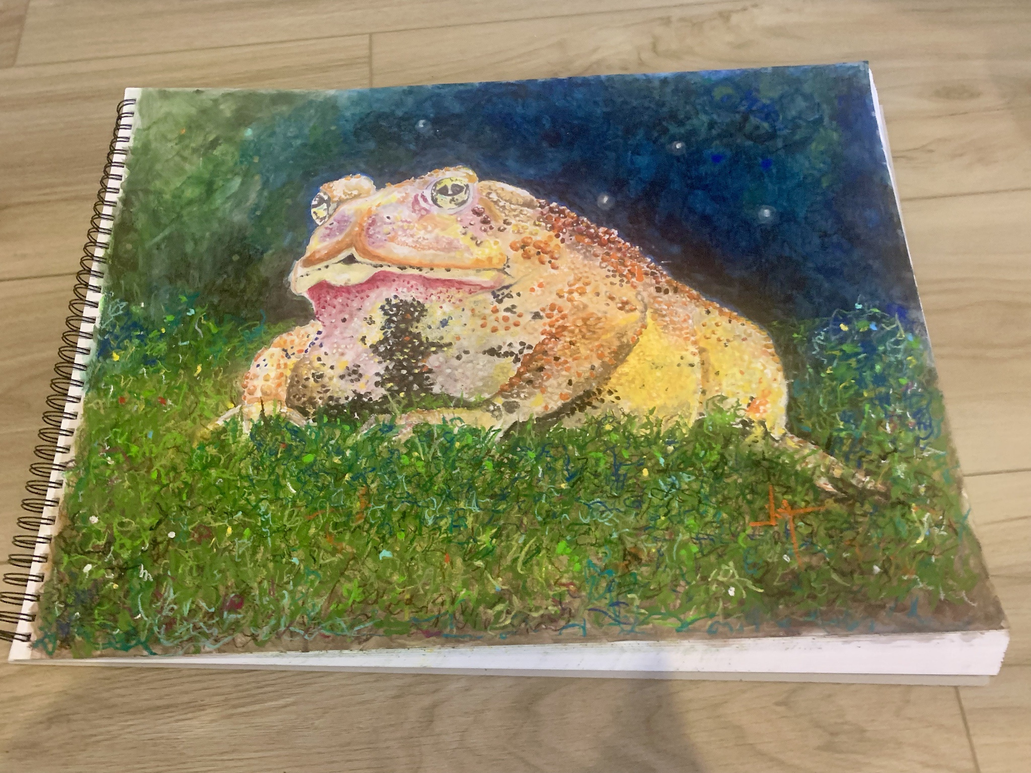 Fall Toad: A Stunning 18x24 Oil Pastel Creation