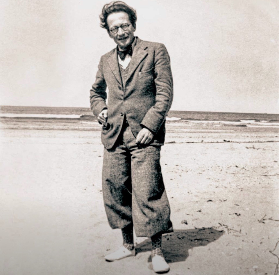 Meet Erwin Schrödinger: The Cat Owner with a Twist!