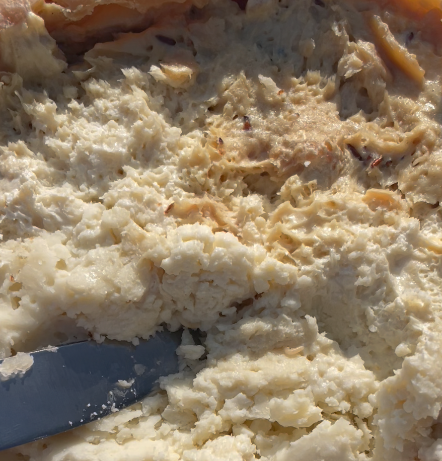 Casu Marzu: The World's Most Dangerous Cheese According to Guinness in 2009