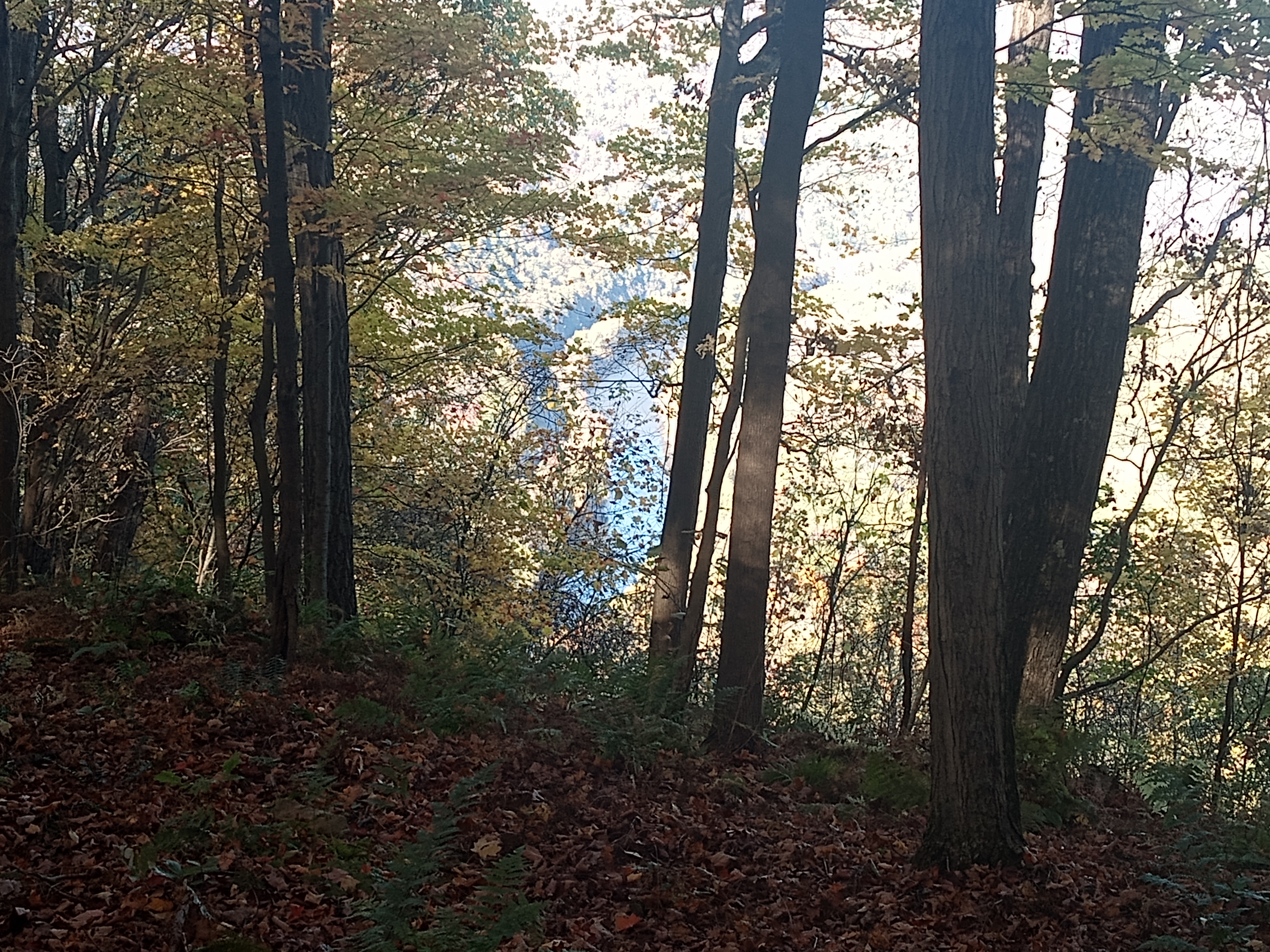Ohiopyle State Park Adventure: Mark Your Calendar for October 19, 2024!