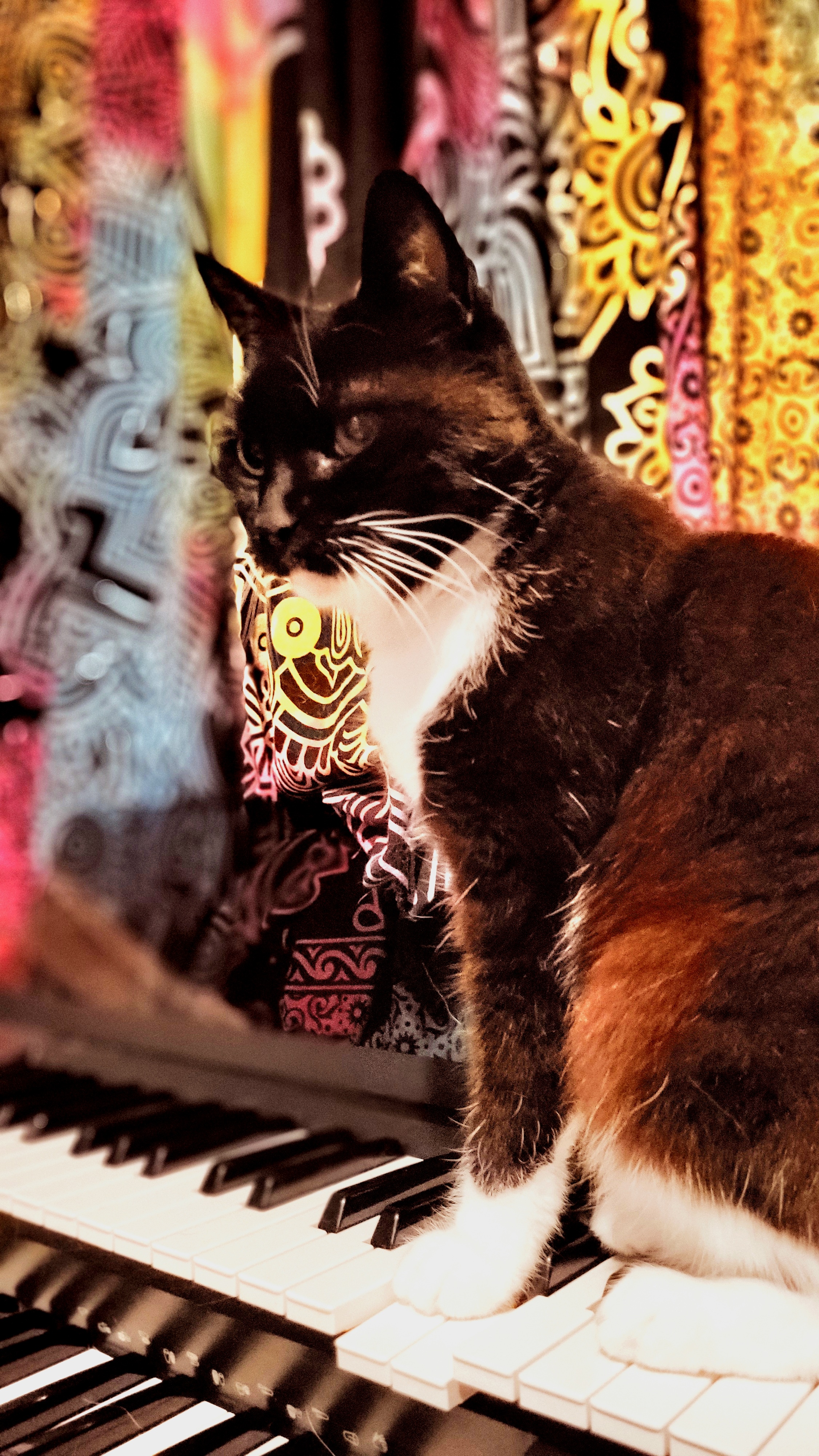 Marley is on the brink of adulthood at 18 years old!