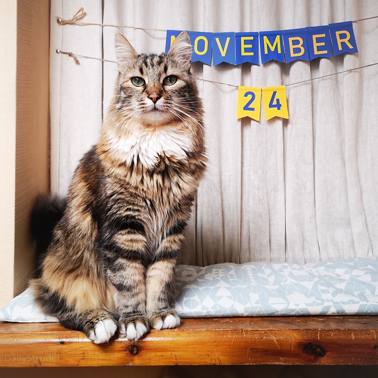 Mark Your Calendars: November 24