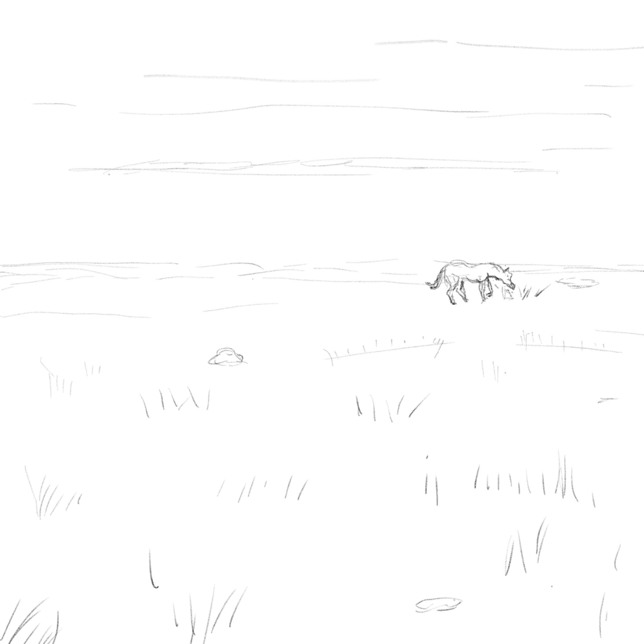 Vast and Open Steppe