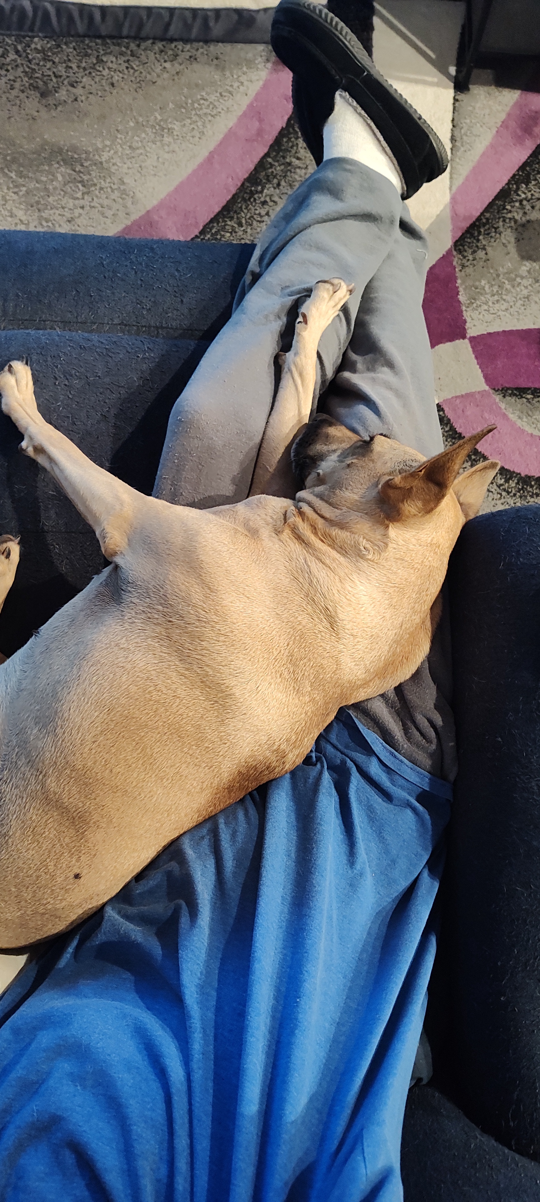 Maggie Helping Me Cut Down on Heating Costs