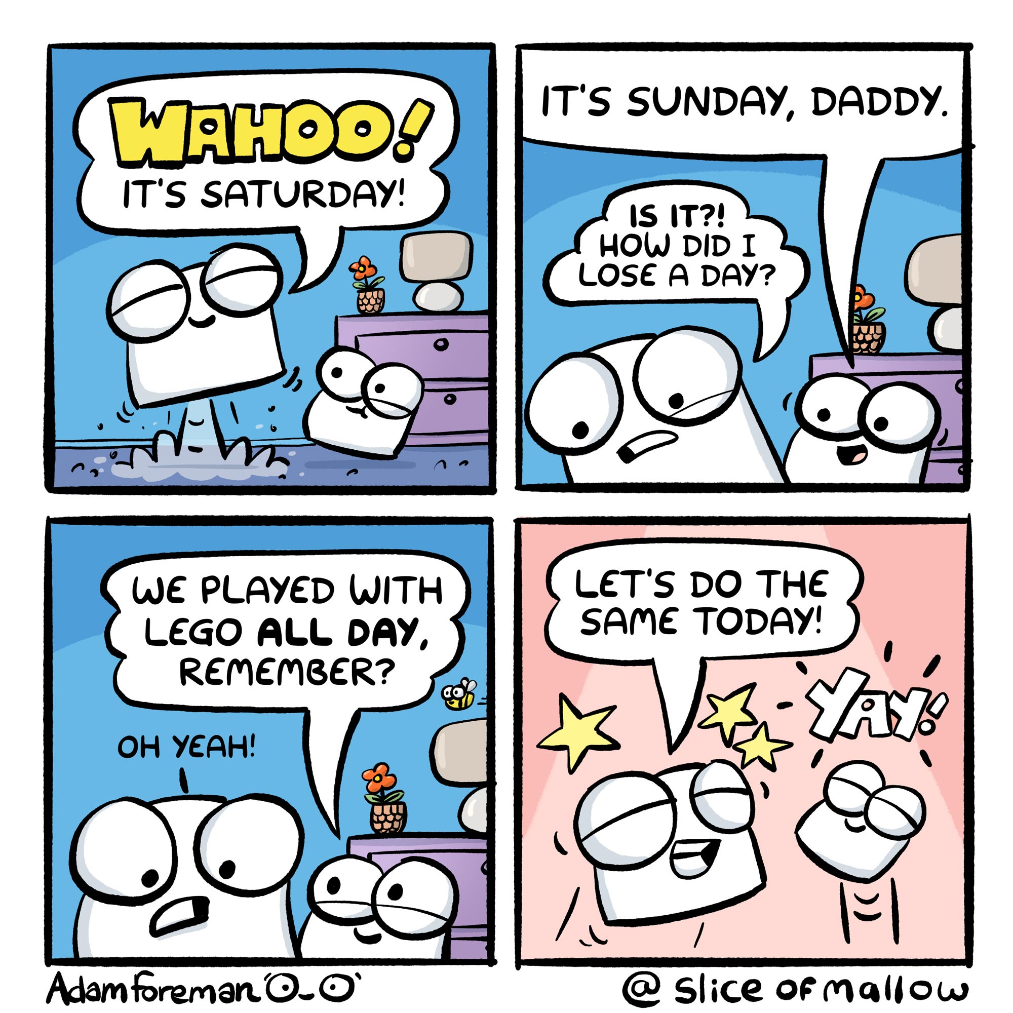 The Ultimate Toys: A Personal Creation!