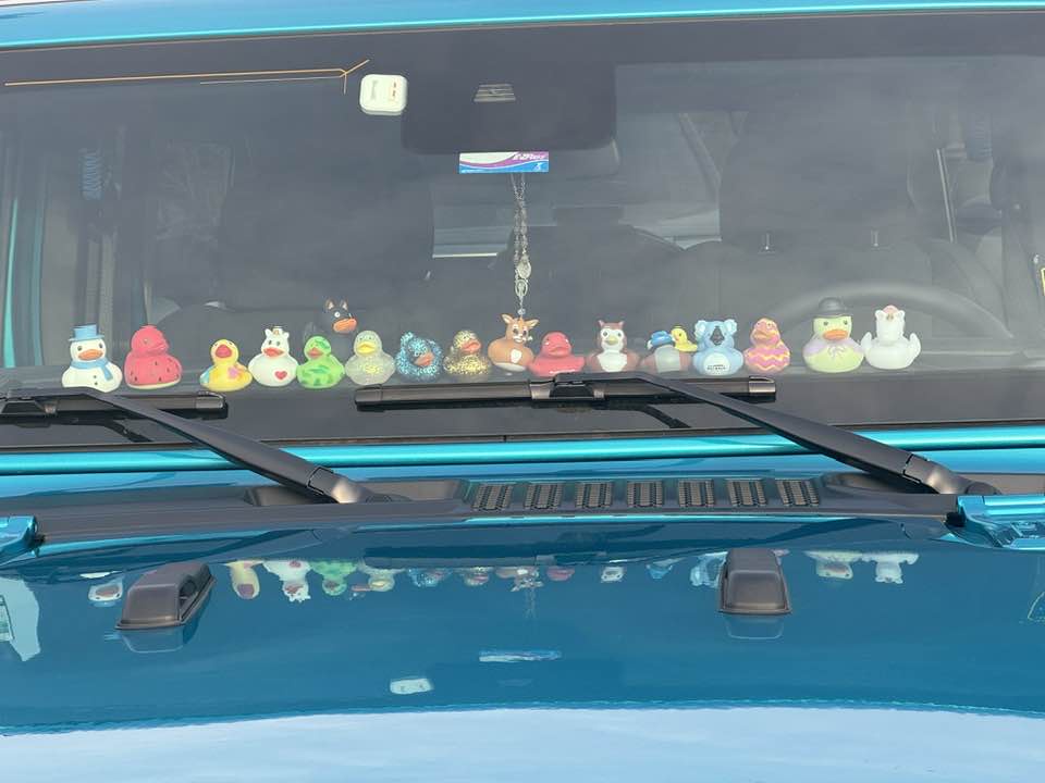 He's Got His Ducks in a Row: Master of Organization!