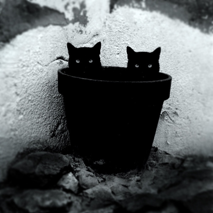 The twin voids of existence!