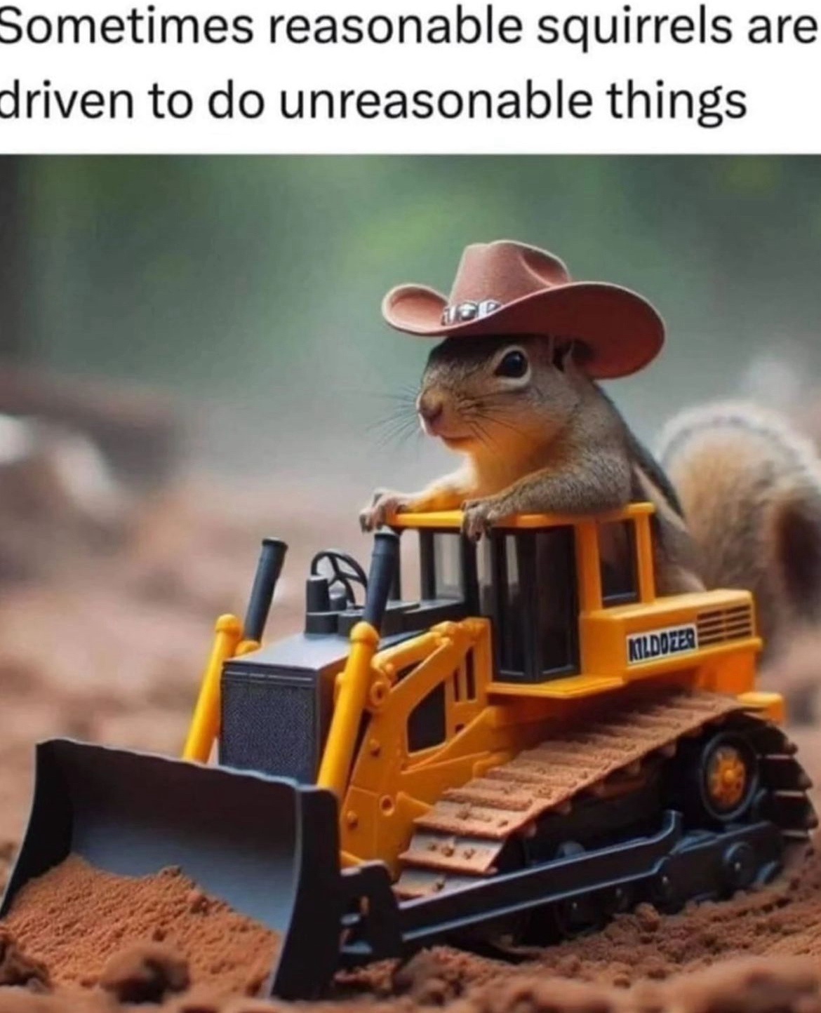 Yeehaw, partner! Let's ride!