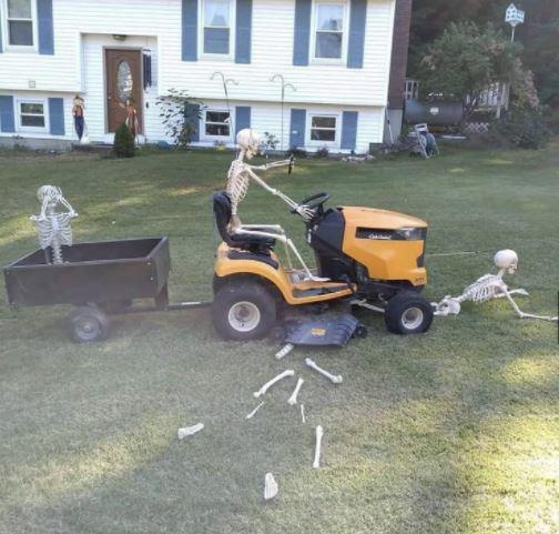 What a Perfect Day for a Lawn Mow!
