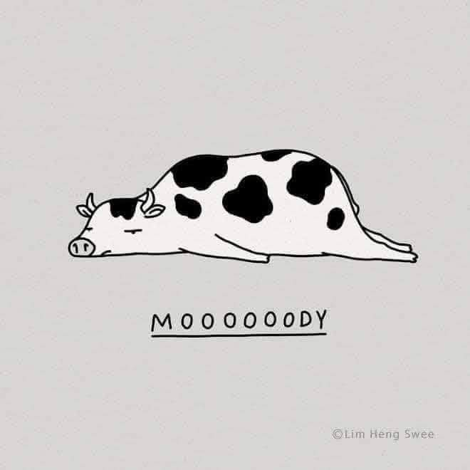 The Adorable World of Moodles