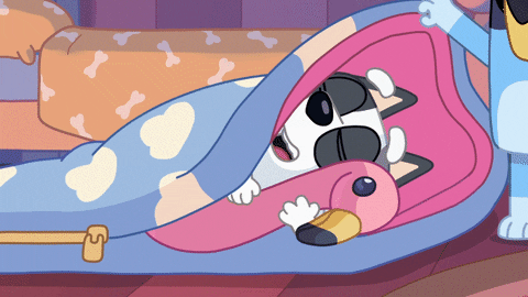 A Fun-filled Bluey Dump!