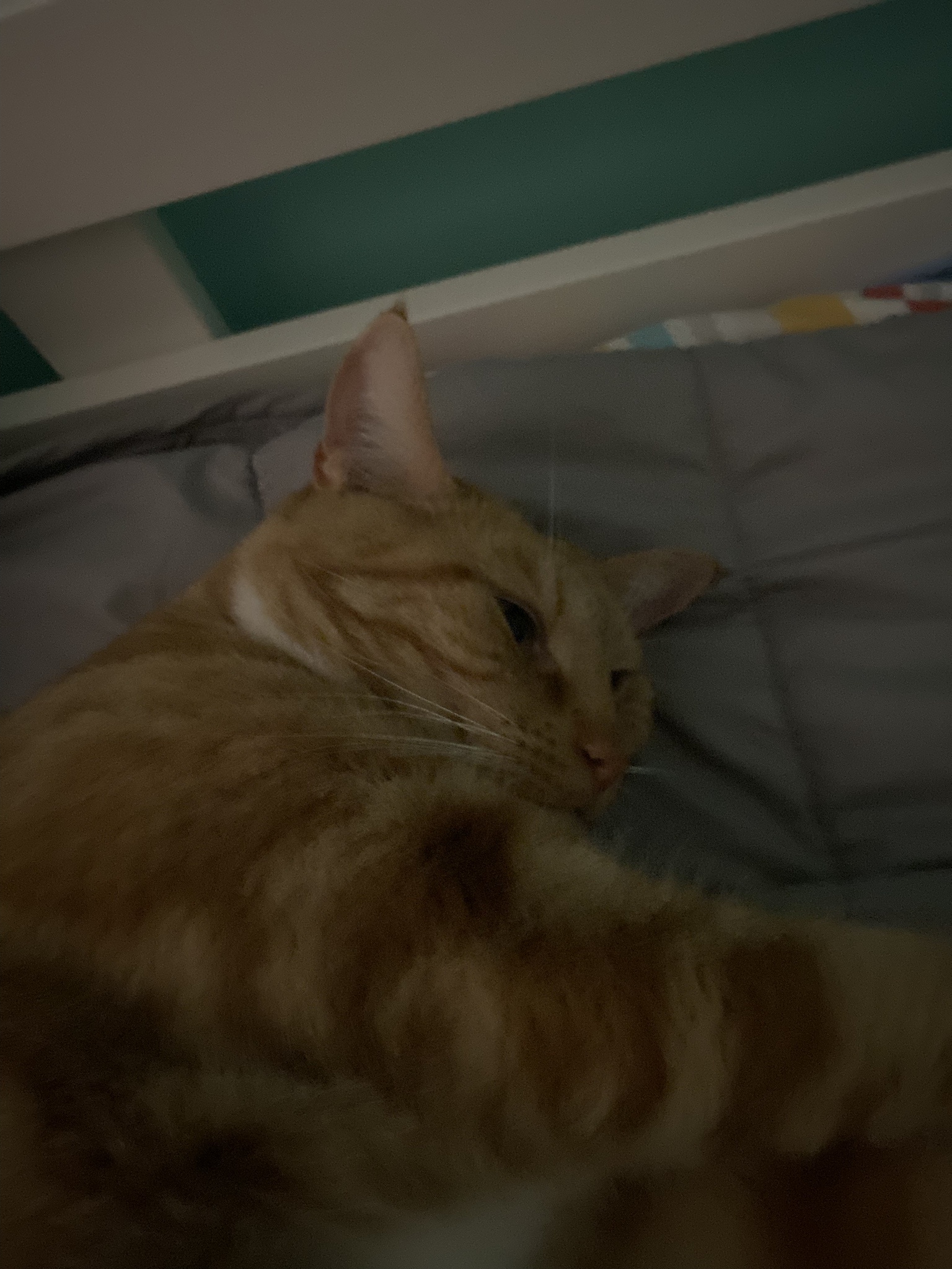 Biscuit's Daily Dose of Cuteness