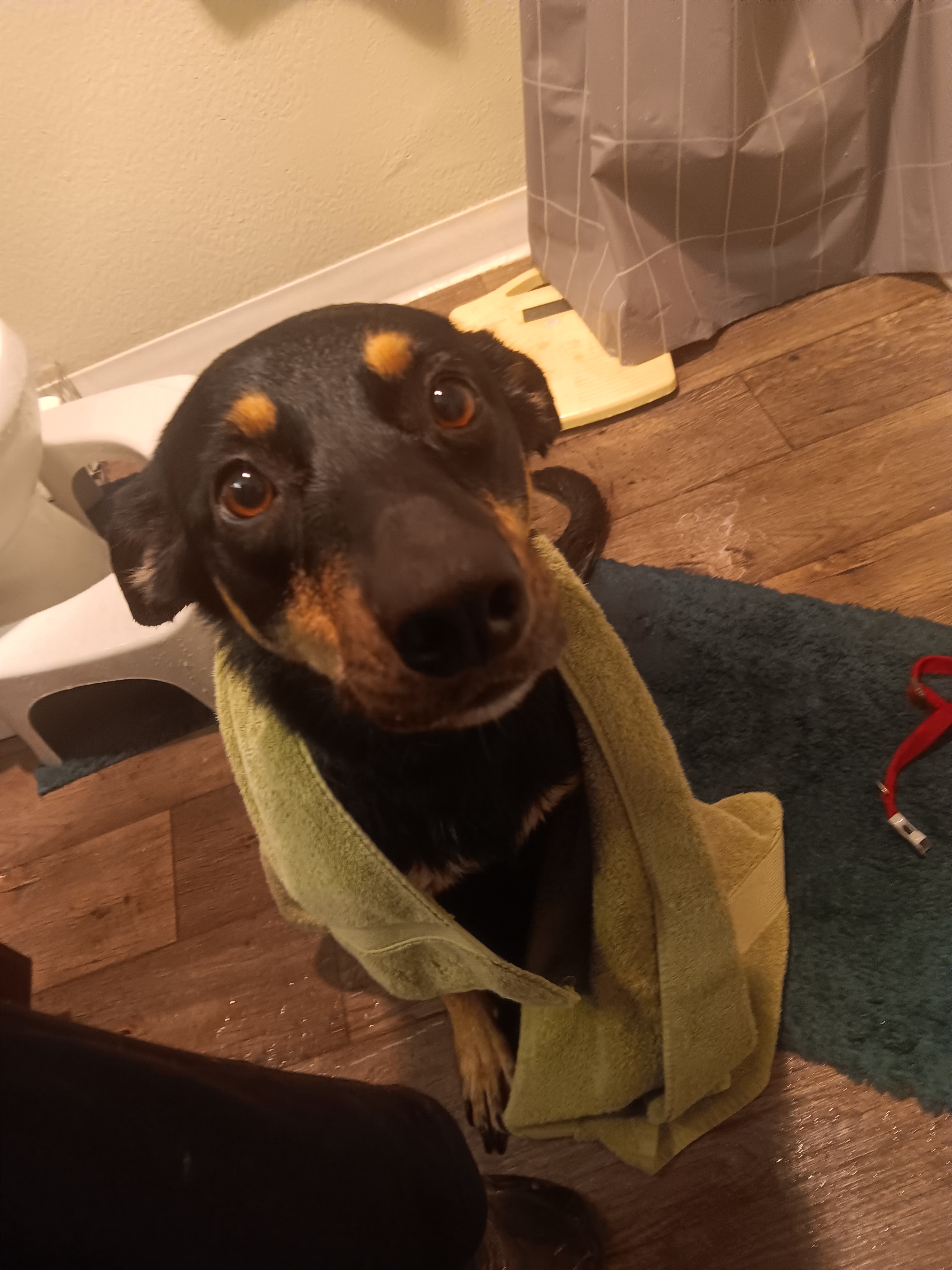 Maya's delightful bath time adventure!