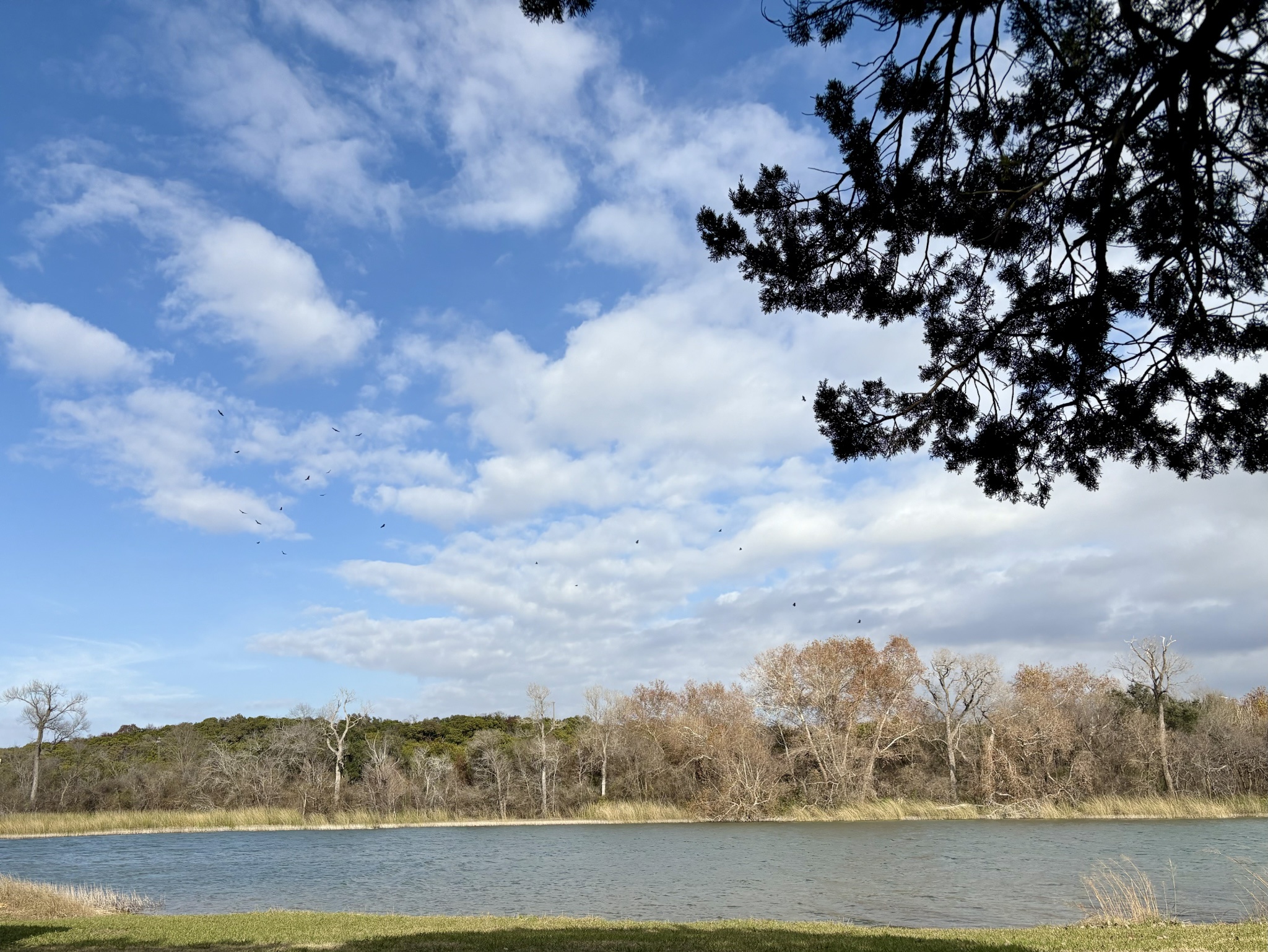 Touching Grass on Your Behalf: A Nature Break