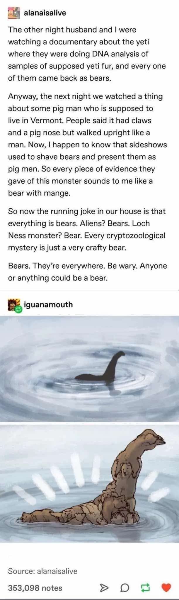 In a World Where Everything Revolves Around Bears