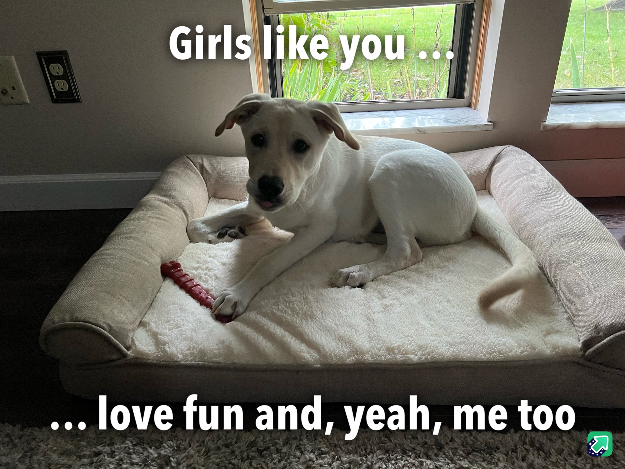 Just a fun-loving girl enjoying life!