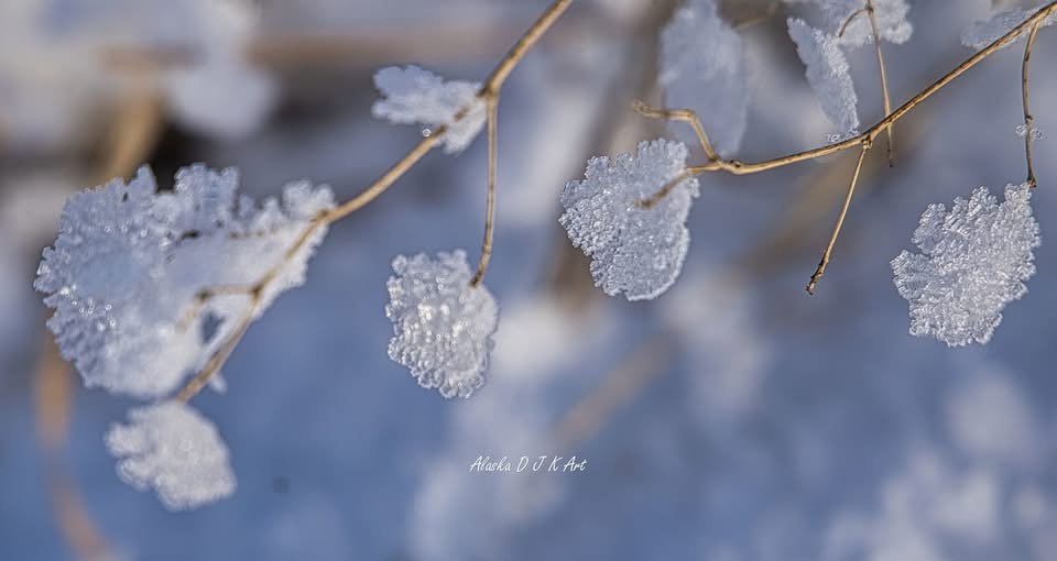 The beauty of an icicle captured in time