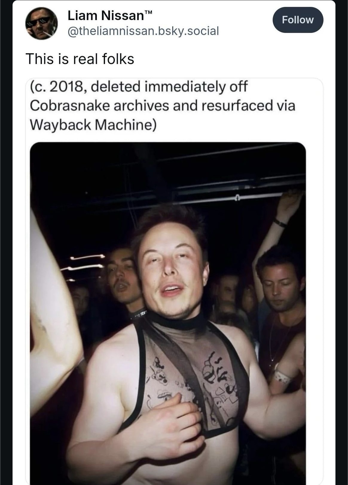 The Enigmatic Elon