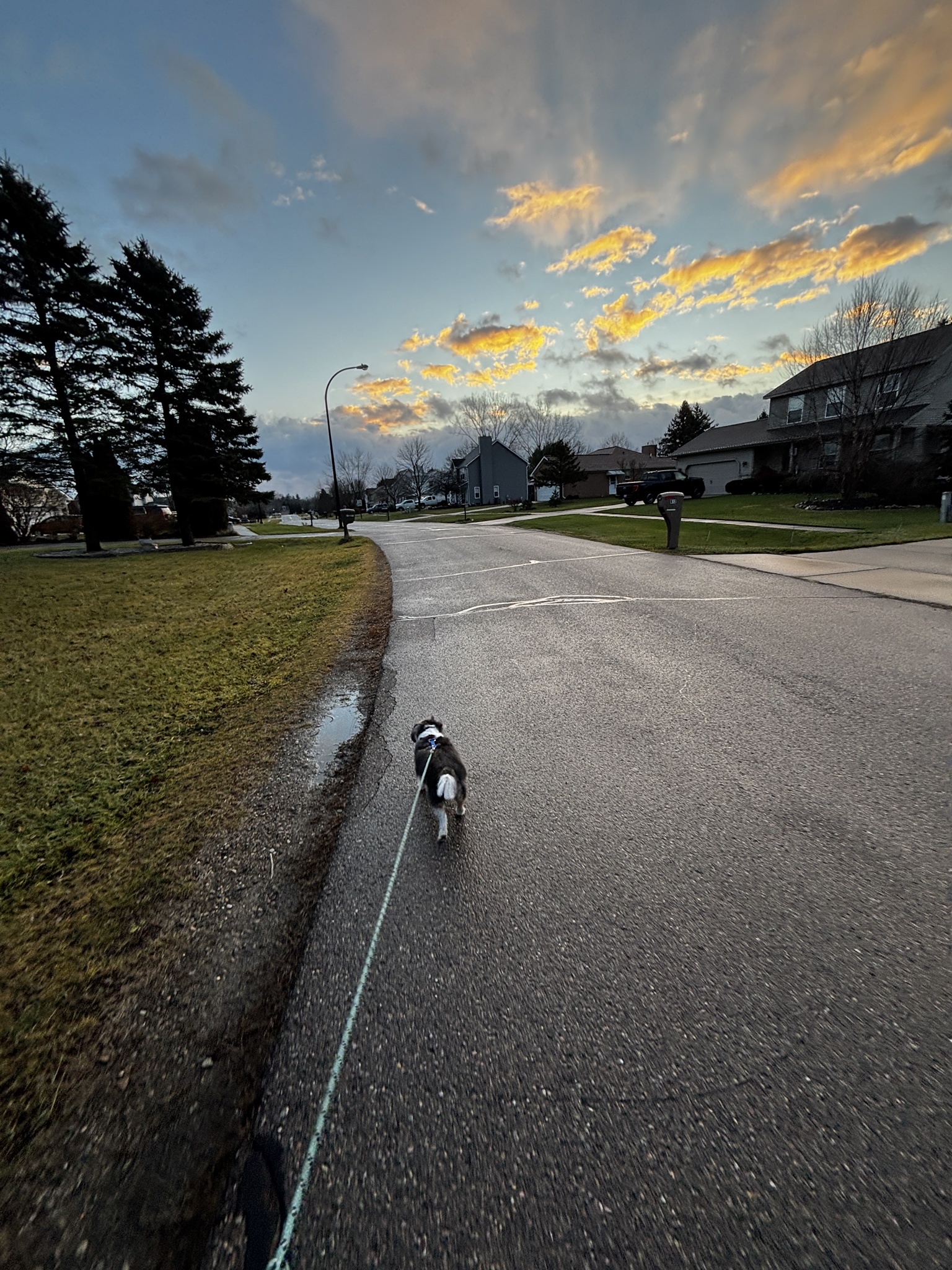 Rigby Ragazzo's Adventures Today